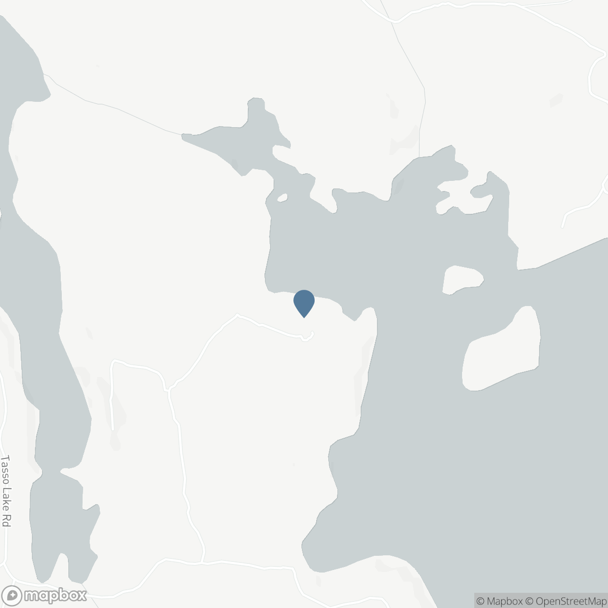 1131 - A WEST CAMP LAKE ROAD, Dwight, Ontario P0A 1H0